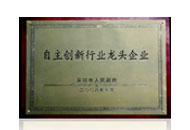 自主創(chuàng)新行業(yè)龍頭企業(yè)
