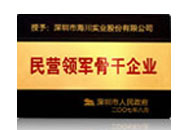 民營(yíng)領(lǐng)軍骨干企業(yè)