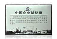 中國(guó)企業(yè)新記錄