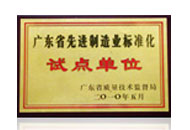廣東省先進(jìn)制造業(yè)標(biāo)準(zhǔn)化試點(diǎn)